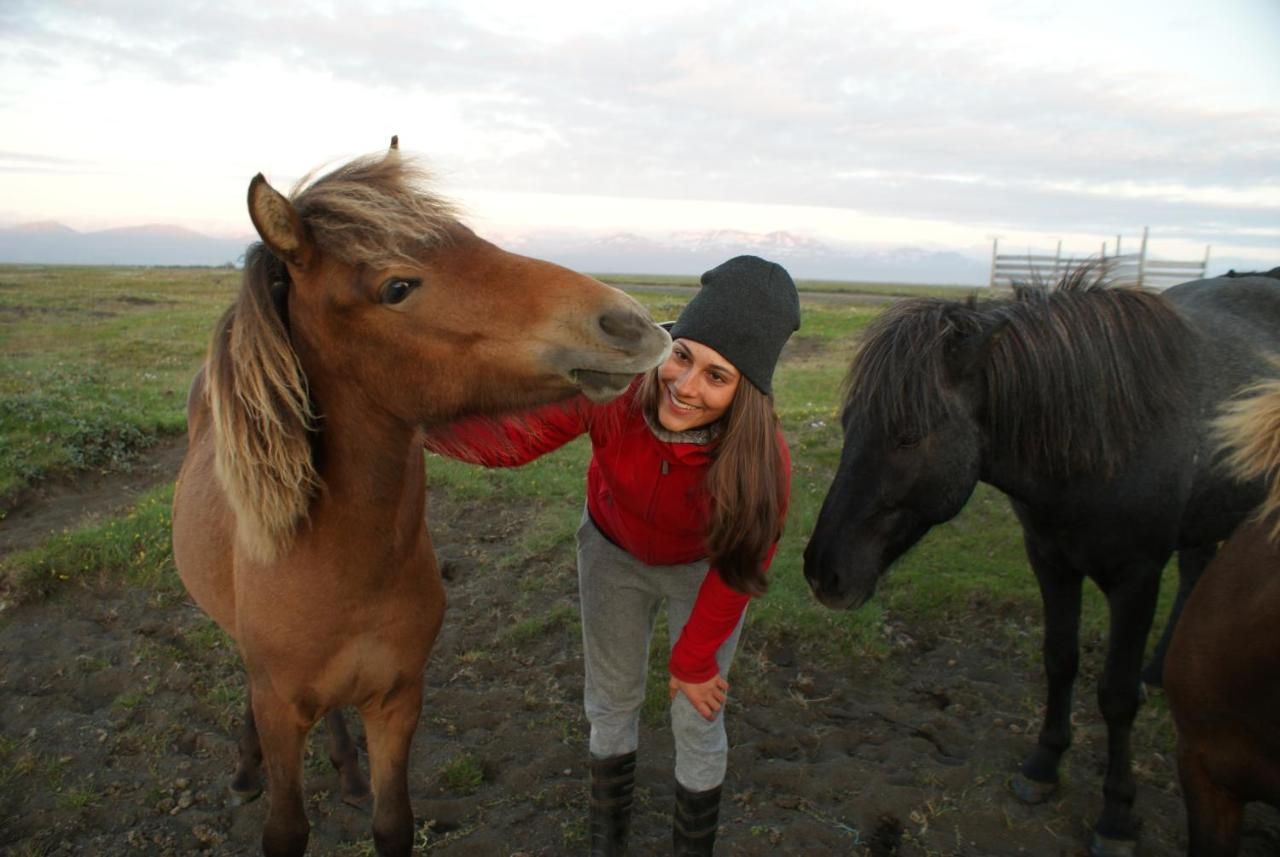 Husey Hostel & Horsefarm Egilsstaðir Extérieur photo