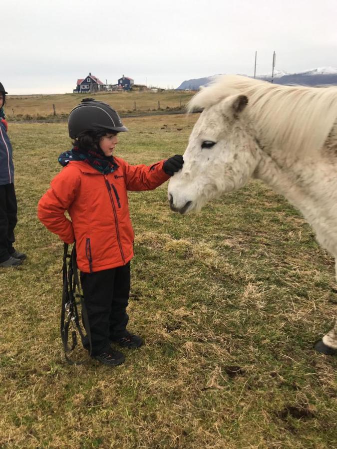 Husey Hostel & Horsefarm Egilsstaðir Extérieur photo