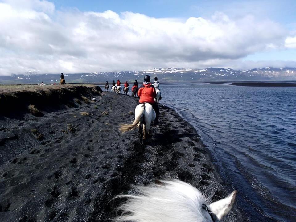 Husey Hostel & Horsefarm Egilsstaðir Extérieur photo