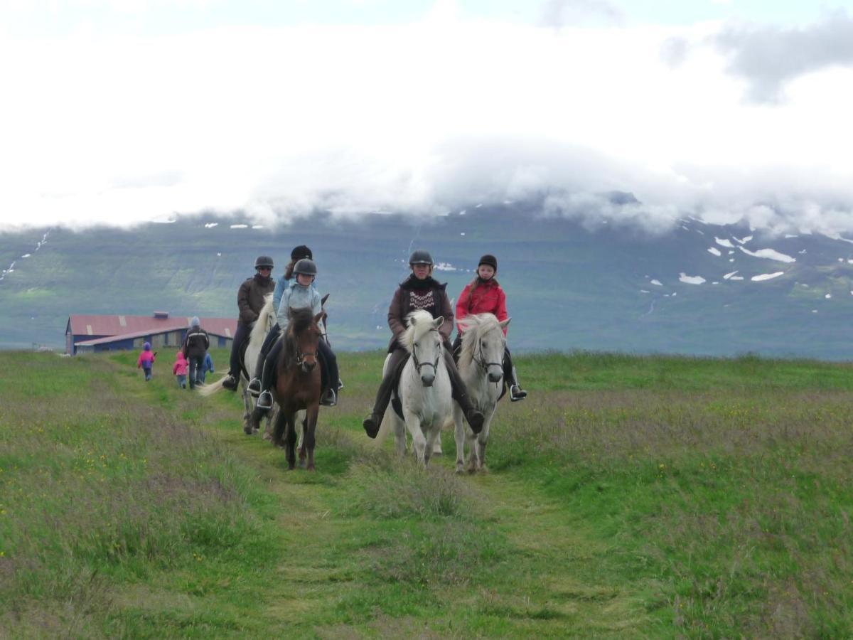 Husey Hostel & Horsefarm Egilsstaðir Extérieur photo