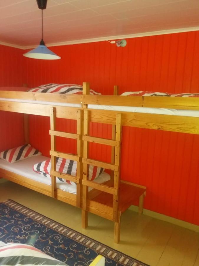 Husey Hostel & Horsefarm Egilsstaðir Extérieur photo